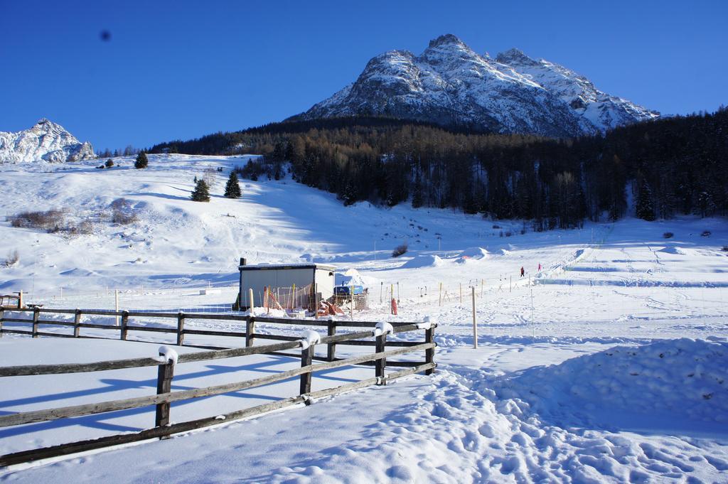 Haus Am See Tarasp Bagian luar foto